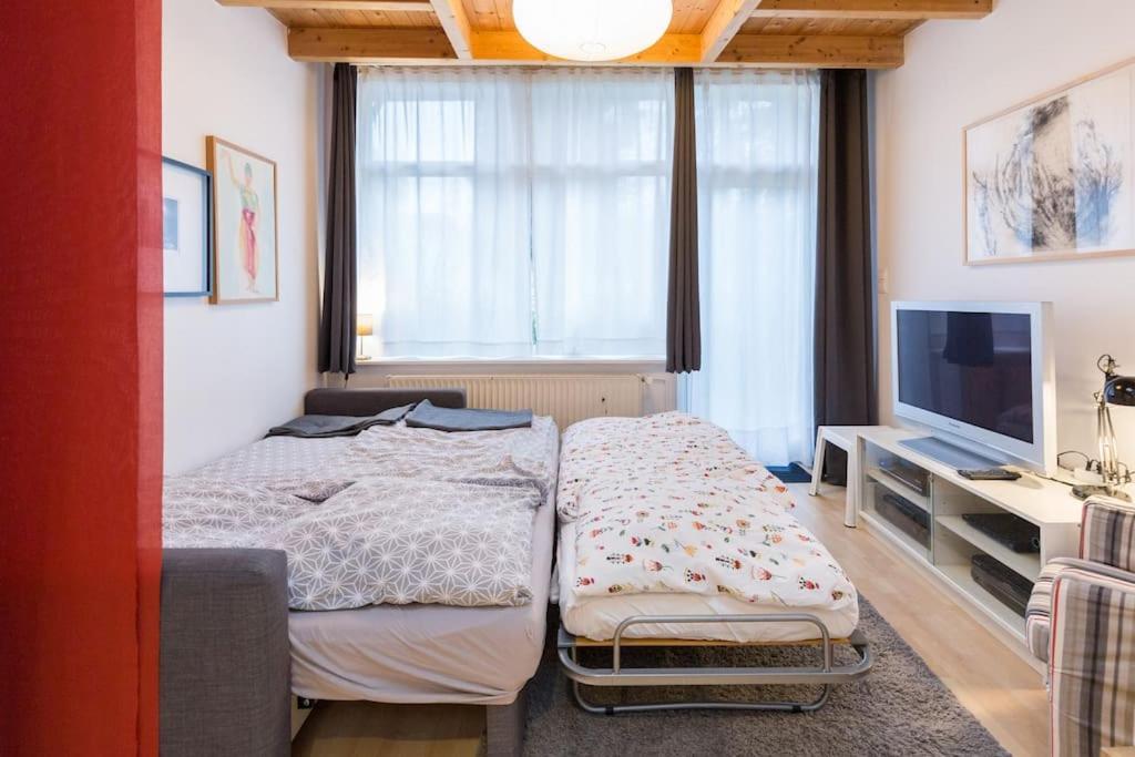 Apartment Wilhelmstr Fuer Bis Zu 3 Personen Brühl Dış mekan fotoğraf