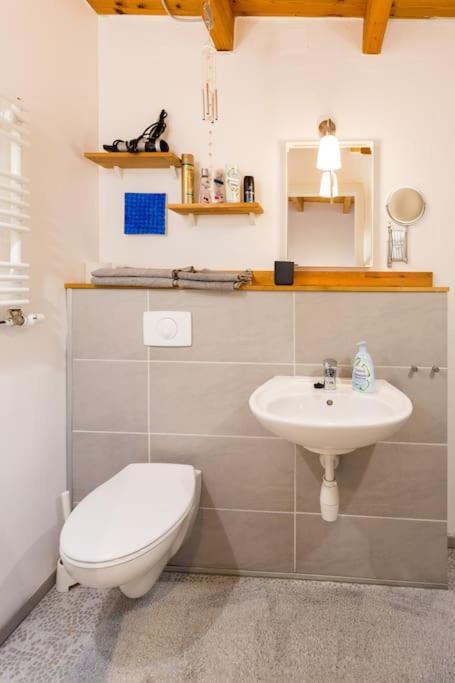 Apartment Wilhelmstr Fuer Bis Zu 3 Personen Brühl Dış mekan fotoğraf